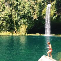 The Hidden Falls  Trips to Tauranga